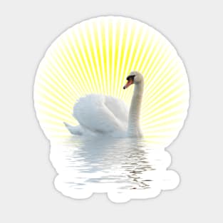 White Swan Sticker